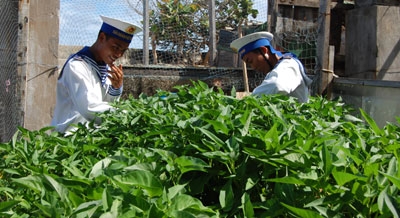 Spratly archipelago soldiers enlarge vegetable area